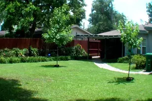 5903 Nancy Ann St, Houston, TX 77009 - Photo 5