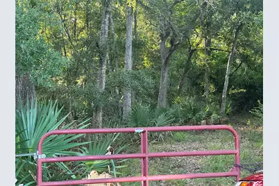 0 County Road 728C, Sweeny, TX 77480 - Photo 3