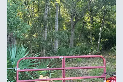 0 County Road 728C, Sweeny, TX 77480 - Photo 3