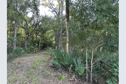 0 County Road 728C, Sweeny, TX 77480 - Photo 7