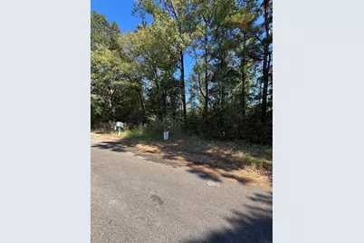 0 Old Highway 35 N, Livingston, TX 77351 - Photo 3