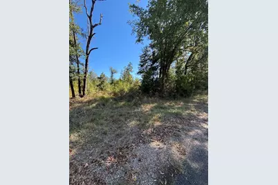 0 Old Highway 35 N, Livingston, TX 77351 - Photo 7