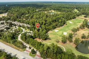 10 Mill Point Pl, The Woodlands, TX 77380 - Photo 31