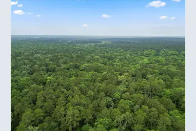 Tbd Sharp Lane, Coldspring, TX 77331 - Photo 23
