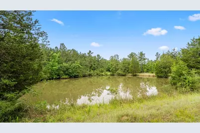 Tbd Sharp Lane, Coldspring, TX 77331 - Photo 41