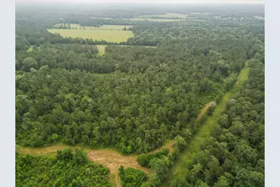 Tbd Sharp Lane, Coldspring, TX 77331 - Photo 29