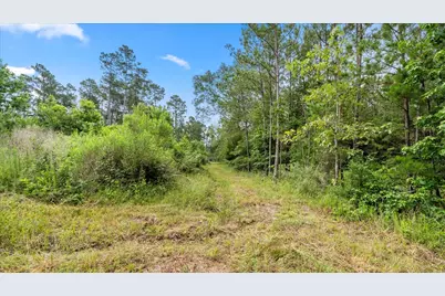 Tbd Sharp Lane, Coldspring, TX 77331 - Photo 45