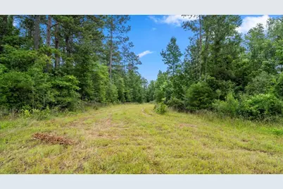 Tbd Sharp Lane, Coldspring, TX 77331 - Photo 35