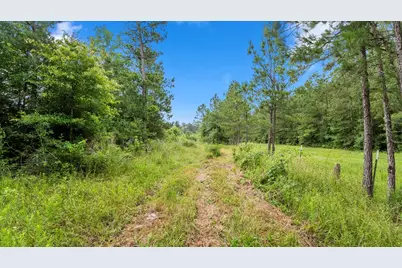 Tbd Sharp Lane, Coldspring, TX 77331 - Photo 43