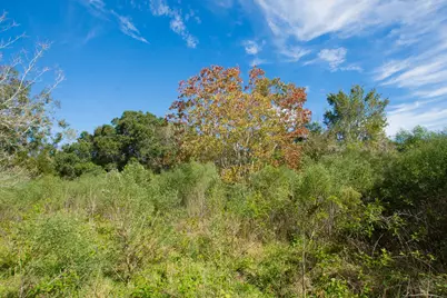 Tbd Highway 36, Jones Creek, TX 77541 - Photo 13
