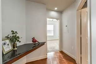 1010 Rosine St St, Houston, TX 77019 - Photo 13