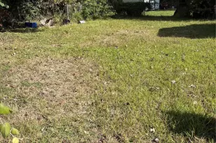 7625 W Knoll St, Houston, TX 77028 - Photo 7