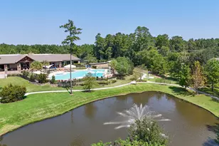 102 Bellardia Ct, Montgomery, TX 77316 - Photo 47
