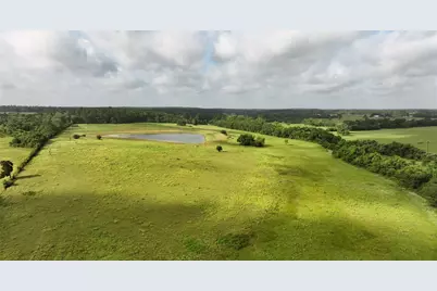 Tbd 65 Ac Old Highway 105, Plantersville, TX 77363 - Photo 11