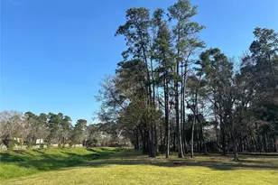 15126 Forest Lodge Dr, Houston, TX 77070 - Photo 33