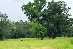 117 Private Road 7512, Woodville, TX 75979 - Photo 1