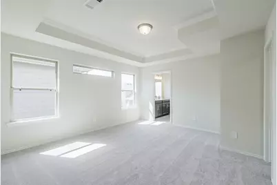 3409 Ovids Orchard Drive, Houston, TX 77025 - Photo 23