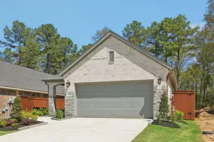 30310 Ruby Frst Ct, Magnolia, TX 77354 - Photo 3