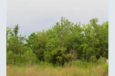517 Road 5704, Cleveland, TX 77327 - Photo 7