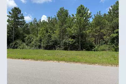 15751 Wood Grove Way, Willis, TX 77378 - Photo 3