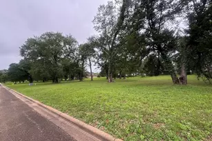 215 Birdie Dr, Hempstead, TX 77445 - Photo 1