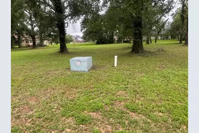 Lot 64 Birdie Drive, Hempstead, TX 77445 - Photo 3