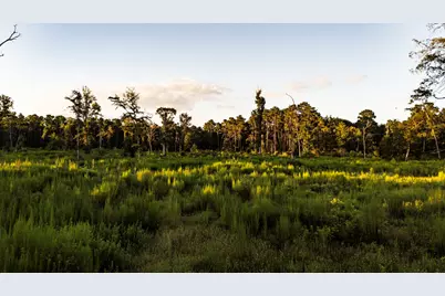 24340 & 24350 Weeren Road, Montgomery, TX 77316 - Photo 5