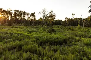 24340 & 24350 Weeren Rd, Montgomery, TX 77316 - Photo 25