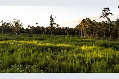 24340 & 24350 Weeren Road, Montgomery, TX 77316 - Photo 23