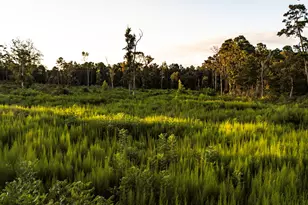 24340 & 24350 Weeren Rd, Montgomery, TX 77316 - Photo 23