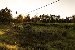 24340 & 24350 Weeren Rd, Montgomery, TX 77316 - Photo 19