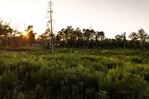 24340 & 24350 Weeren Rd, Montgomery, TX 77316 - Photo 21