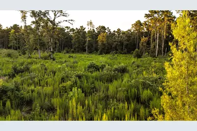 24340 & 24350 Weeren Road, Montgomery, TX 77316 - Photo 27