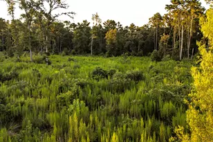 24340 & 24350 Weeren Rd, Montgomery, TX 77316 - Photo 27