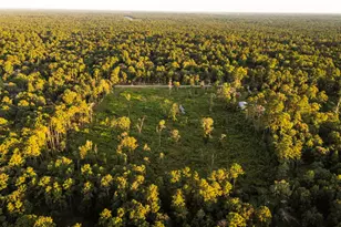 24340 & 24350 Weeren Rd, Montgomery, TX 77316 - Photo 13