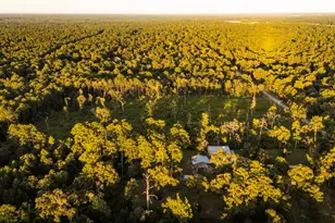 24340 & 24350 Weeren Rd, Montgomery, TX 77316 - Photo 15