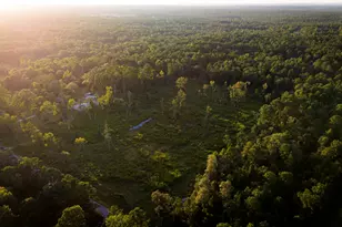 24340 & 24350 Weeren Rd, Montgomery, TX 77316 - Photo 9