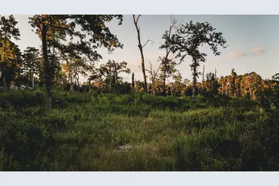 24340 & 24350 Weeren Road, Montgomery, TX 77316 - Photo 3