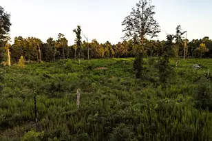 24340 & 24350 Weeren Rd, Montgomery, TX 77316 - Photo 33