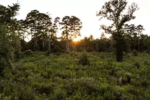 24340 & 24350 Weeren Rd, Montgomery, TX 77316 - Photo 29