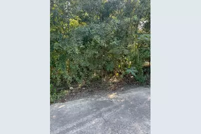 11406 Spicewood Lane, Houston, TX 77044 - Photo 11