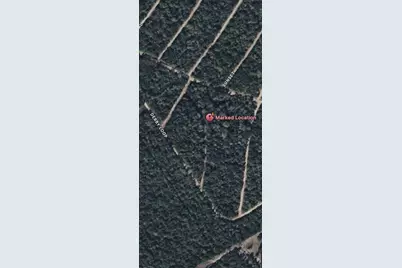 Tbd Creekside, Hilltop Lakes, TX 77871 - Photo 7