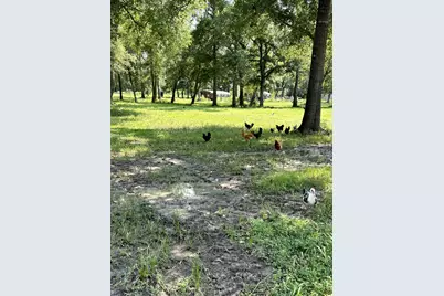 7207 County Road 194, Alvin, TX 77511 - Photo 19