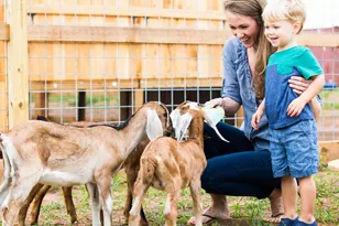 3223 Key Lime Dr, Richmond, TX 77406 - Photo 13