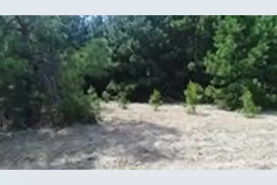 000 Hwy 287 N, Grapeland, TX 75844 - Photo 9