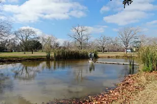 596 Exotic Isle St, Matagorda, TX 77457 - Photo 41