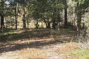 195 Center St, Cleveland, TX 77327 - Photo 5