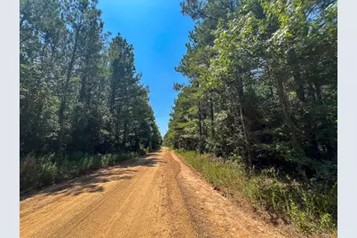 2 County Road 3230, Colmesneil, TX 75938 - Photo 5
