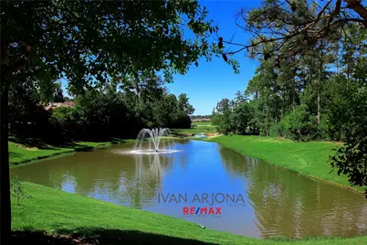 222 Hawkhurst, The Woodlands, TX 77354 - Photo 33