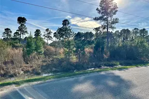 Tbd County Road 3479A, Cleveland, TX 77327 - Photo 1